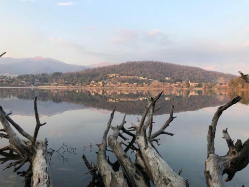 Bed & Breakfast Al Cervo Tra I Laghi