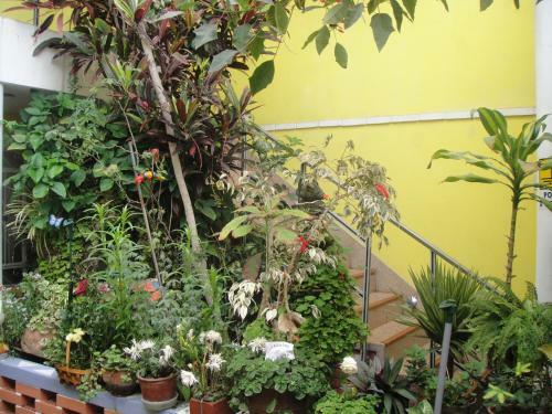 Hostal Residencial Los Andes