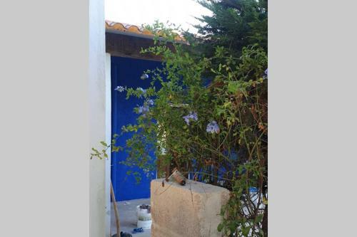 Casa Azzurra