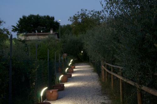 Il Mandorlo