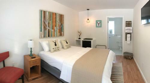 Hotel Dame Fortune's Cottage Court