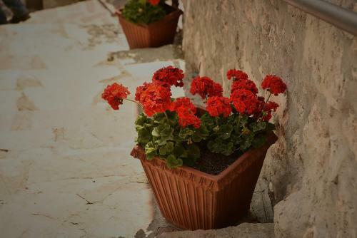 Bed & Breakfast Callort