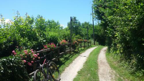 Bed & Breakfast La Collina Dei Passeri