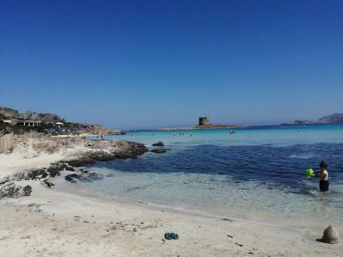 Cala Sardinia Apartment
