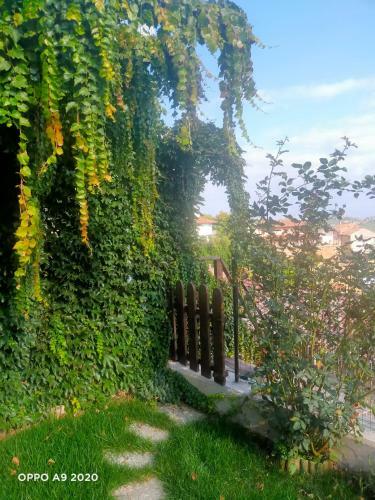 B&B Madonna Degli Airali