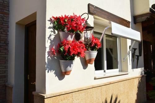 Apartamentos Tronca