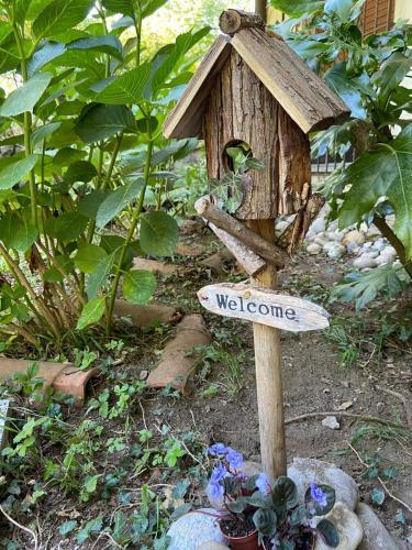 Bed & Breakfast Bosco 79