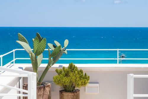 Apartamento Palazzo Grecale