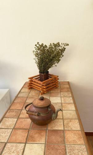 Villa Bonagia Cottage