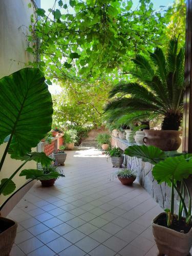 Apartamento Casa Minervae
