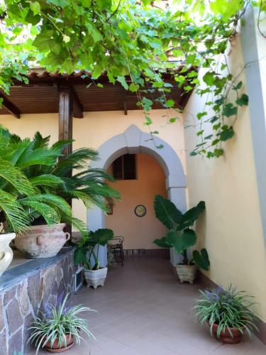 Apartamento Casa Minervae