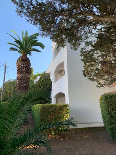 Apartamento Casa Andromeda