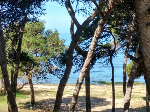 Apartamento Frontemare Carlo