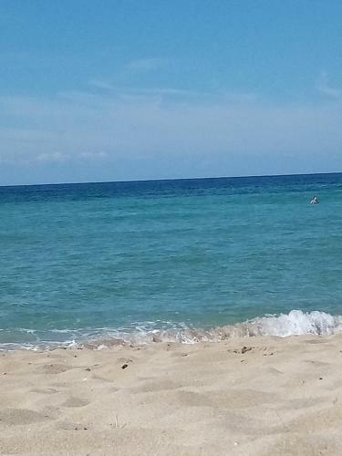 Brocca Di Mare