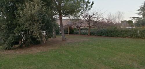 B&B Belvedere