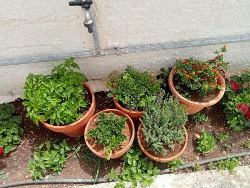 Apartamento Dependance