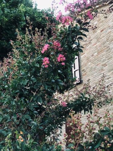 Hotel Villa Bella Rosa