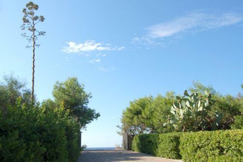 Villa Delle Agavi