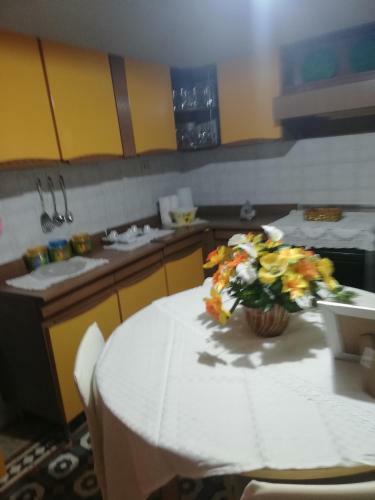 Casa Venelia