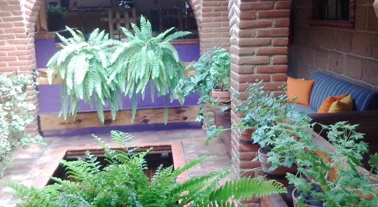 Mex Suites Casa Az�l B&B