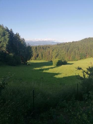 Apartamento Ferienwohnung Bl�melring