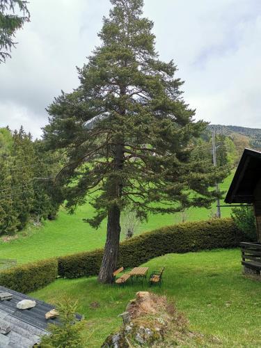 Apartamento Waldheimat.