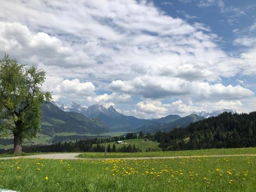 Apartamento Ferienwohnung B�rfeld