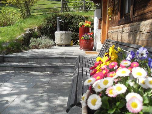 Alpen-chalet-pankraz