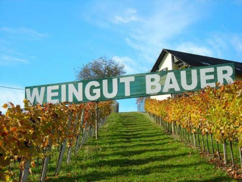 Ferienhaus Weingut Bauer