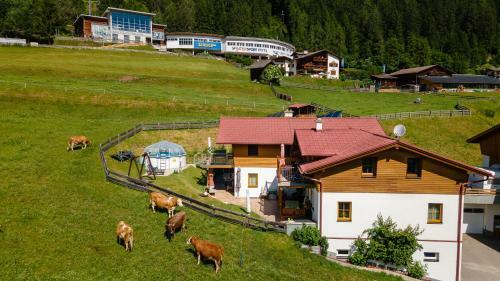 Apartamento Wiltigerhof