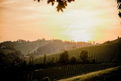 Apartamento Hohler Appartement Gamlitz
