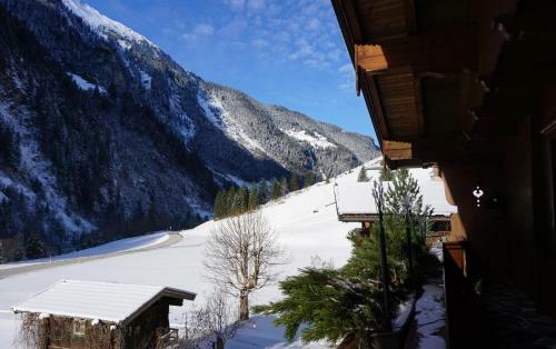 Apartment Bergblick