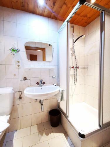 Apartamento Alpenhaus Salner