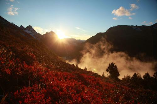 Apartamento Alp-aren