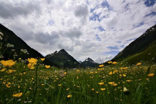 Apartamento Chalet Gonda