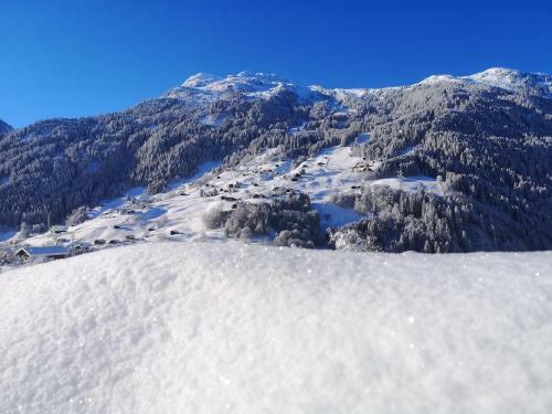 Apartamento Chalet Appartement Antonhaus