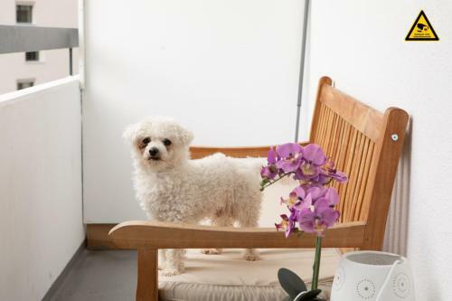 Apartamento Wohlf�hlapartment 47