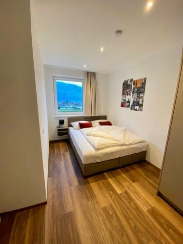 Theview Apartments Zillertal Hamberg-view