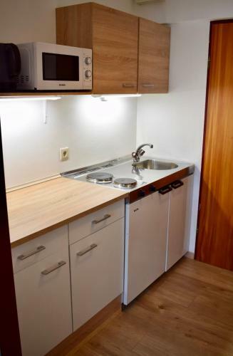Gosau Apartment 407