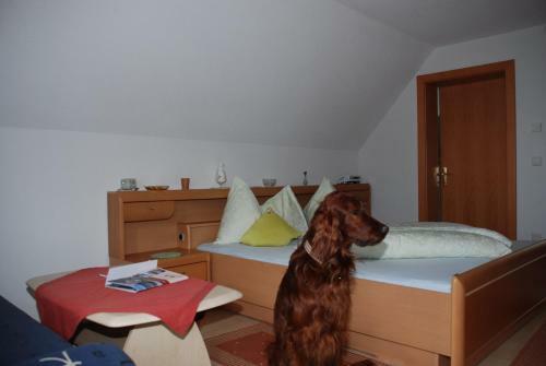 Apartamento Appartement Grundner