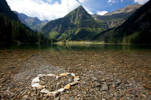 Apartamento Appartement Grundner