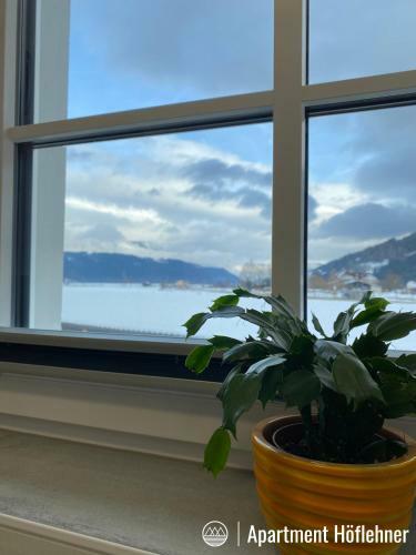 Apartamento Appartment H�flehner