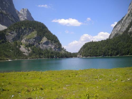 Bed & Breakfast Privatpension Gosaukammblick