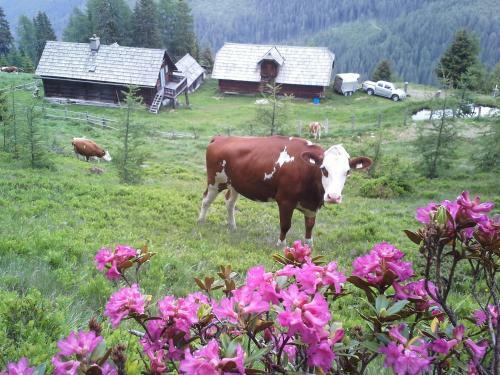 Agroturismo Schartlhof