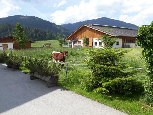 Apartamento Landhaus Fingerhof