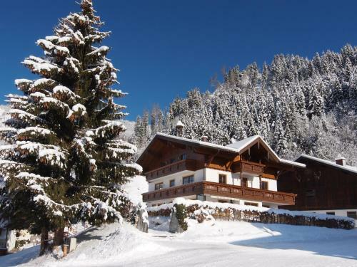 Apartamento Landhaus Dorfer