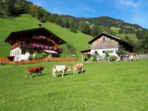 Apartamento Antenbachhof