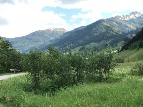 Apartamento Haus Scharl