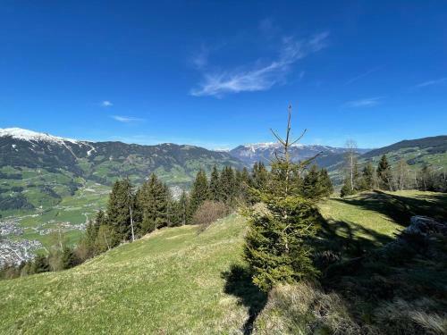 Chalet Irmi Hart Im Zillertal