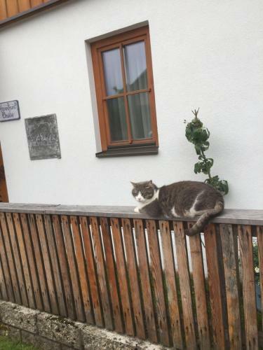 Apartamento Appartement Emilia